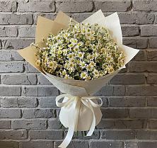 Букет цветов из:  Ромашки #REPLACE_PRED# Луковской