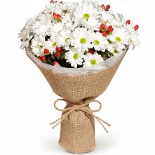 Букет цветов из:  Хризантемы #REPLACE_PRED# Луковской